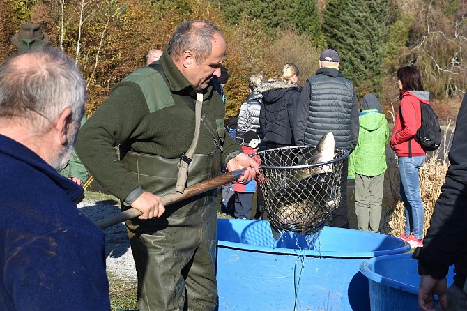 Výlovy na Blanensku pokračují. Po jedovnickém Olšovci zatáhli rybáři sítě také na rybníku ve křtinském arboretu.