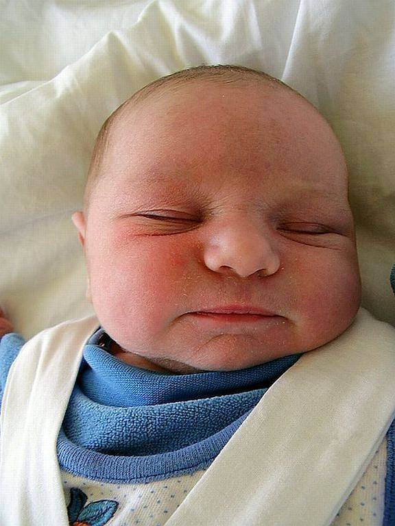 František Těžký - 51cm, 4,04kg, 16.6.2008, Boskovice