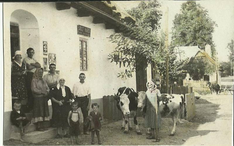 Jaro v Protivanově roku 1934 - tehdejší fotografie autorčiny budoucí babičky z tatínkovy strany s mladšími dětmi - byla už vdova a k obživě celé rodině sloužily hlavně dvě kravičky.