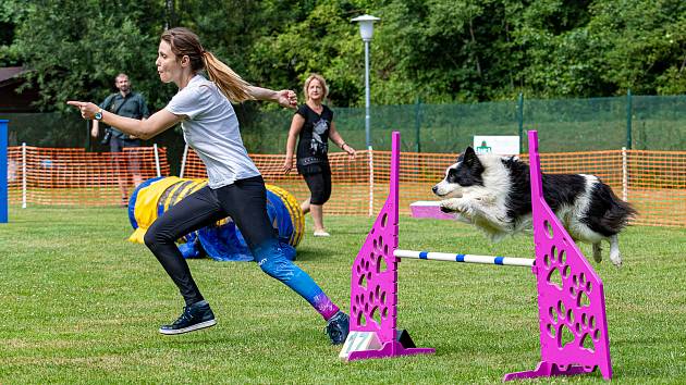 Na psí účastníky Prázdninových závodů agility čekaly překážky, jako houpačka nebo látkový tunel.