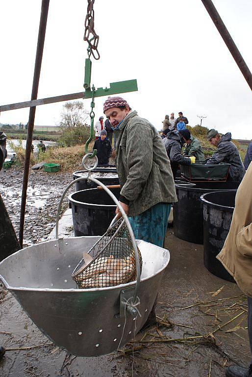 Boskovičtí rybáři  vylovili svůj největší chovný rybník ve Skalici nad Svitavou.