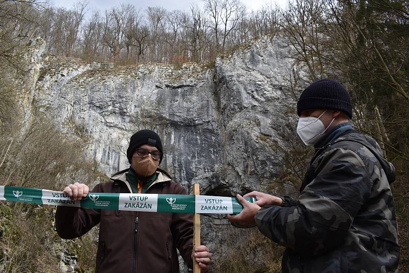 Tři měsíce. Tak dlouho je od pondělí zavřená louka před Býčí skálou v Moravském krasu na Blanensku a její nejbližší okolí. Stejně jako část modré turistické trasy k nedaleké jeskyni Kostelík. Kvůli hnízdění vzácného sokola stěhovavého.