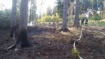 V lese v katastru obce Senetářov hořel les. Hasiči vyhlásili druhý stupeň požárního poplachu. 