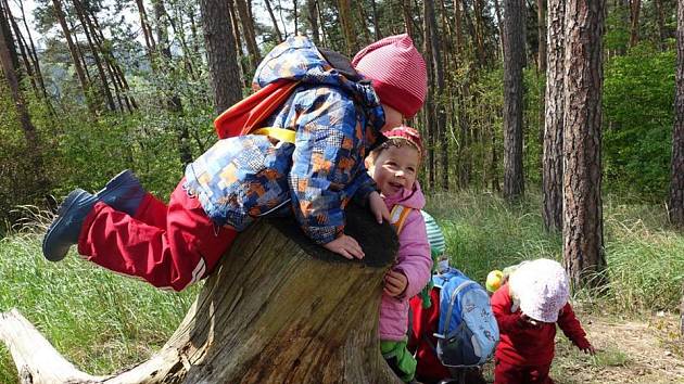 V Blansku vzniká lesní školka Lezem lesem, která by měla začít fungovat od září. Zakládá ji spolek rodičů Lesní klub Blansko. Děti budou trávit co nejvíce času venku. Naučit by se měli hlavně úctě k přírodě. Při výuce se bude dbát na jejich individualitu.