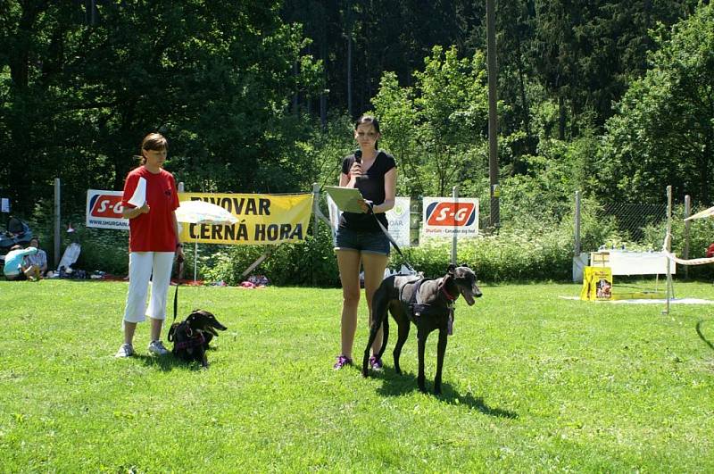 Do Černé Hory se v sobotu sjeli voříšci a psi bez průkazu původu. Porota z nich vybrala ty nejlepší. Hodnotila jejich srst, chrup či to, jestli jsou se svým pánem v souladu. Diváci si na výstavě užili i taneční vystoupení a dozvěděli se, v čem spočívá psí