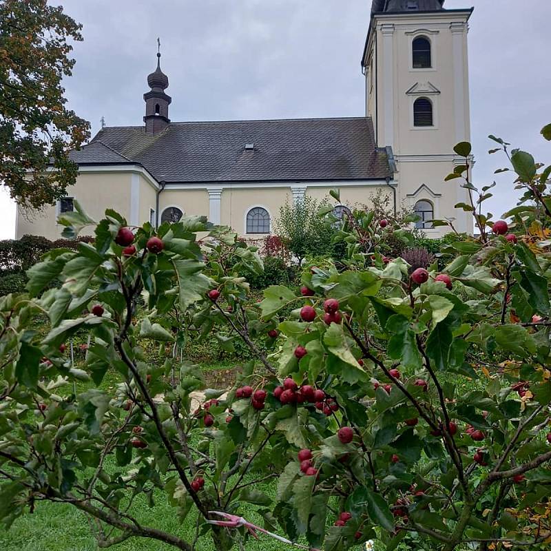 Kostel svatého Martina a stále rozkvetlá zahrada u přilehlé fary.