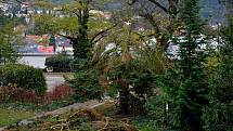 Nedělní vichřice poškodila také střechu na budově Zámeckého skleníku v Boskovicích a stromy v přilehlém parku.