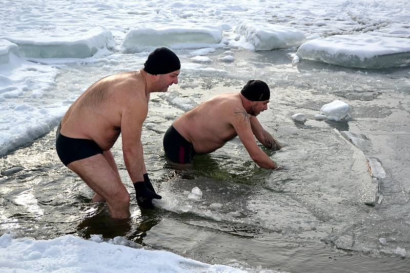 Otužilci při setkání v  Ostrově u Macochy v roce 2019.