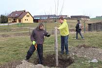 Akční skupiny se snaží podpořit výsadbu ovocných stromů. Oslovují obce, pořádají semináře a přispívají na výsadbu.