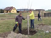 Akční skupiny se snaží podpořit výsadbu ovocných stromů. Oslovují obce, pořádají semináře a přispívají na výsadbu.
