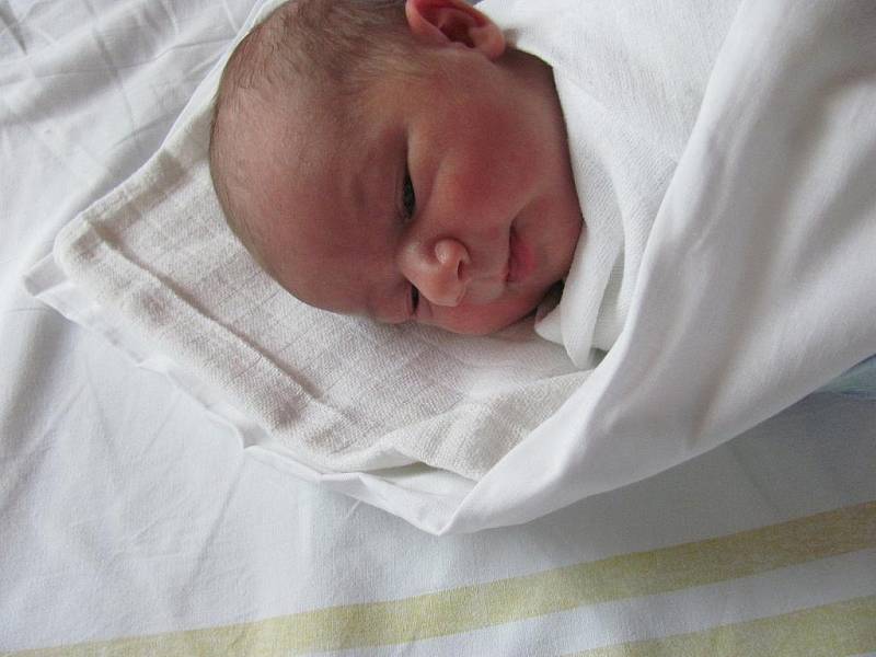 Miroslav Holas, 50 cm, 3,30 kg,	Vřesice, 4.1.2012