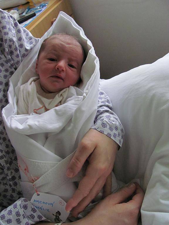 Natalie Machová, 50 cm, 3,29 kg, Tišnov, 4.1.2012