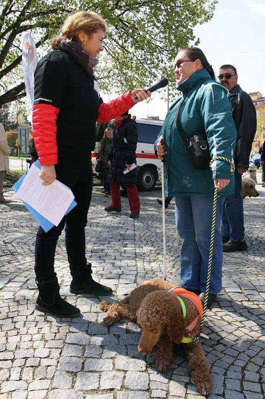 Nevidomí zvládli cestu ve tmě. S vodicími psy.