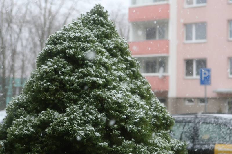 Předpověď meteorologům vyšla. V pátek dopoledne začalo na jihu Moravy sněžit. Z prvních sněhových vloček měly radost hlavně děti. Na snímcích ulice Adamova na Blanensku.