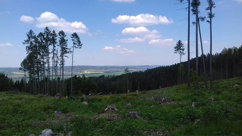 Z výletu z Boskovic do Úsobrna, Jaroměřic, Uhřice, Cetkovic a Světlá do Šebetova a přes Doubravy do Boskovic.