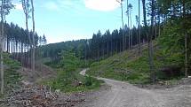 Z výletu z Boskovic do Úsobrna, Jaroměřic, Uhřice, Cetkovic a Světlá do Šebetova a přes Doubravy do Boskovic.