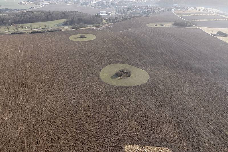 První letošní let a série nádherných fotografií. Paraglidistu Petra Buchtu z Adamova na Blanensku zlákala předpověď počasí k výletu na motorovém křídle. Do vzduchu vystartoval ve středu z kotvrdovického letiště krátce před půl osmou ráno.