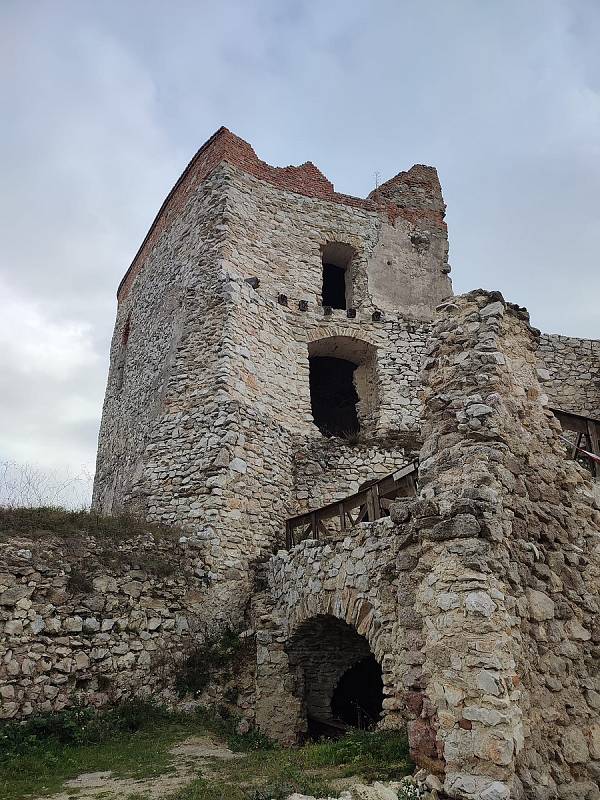 Z vrcholku hradu jde vidět na nádherné zalesněné svahy Malých Karpat, kopanice Myjavské pahorkatiny nebo pohoří Považský Inovec.