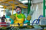Fairtradové ananasy stále v České republice nekoupíme.
