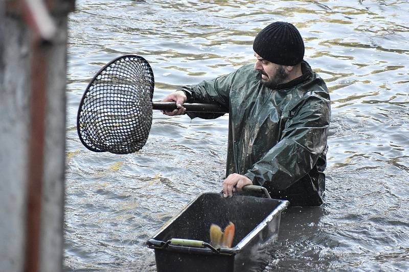 Výlov rybníku Dymák na okraji Jedovnic.