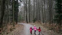 Nový hrad nedaleko Olomučan na Blanensku otevřel své brány. Turisty přilákal velikonoční jarmark.