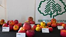 Arborertum Šmelcovna uspořádalo další ročník regionální výstavu ovoce a dřevin.