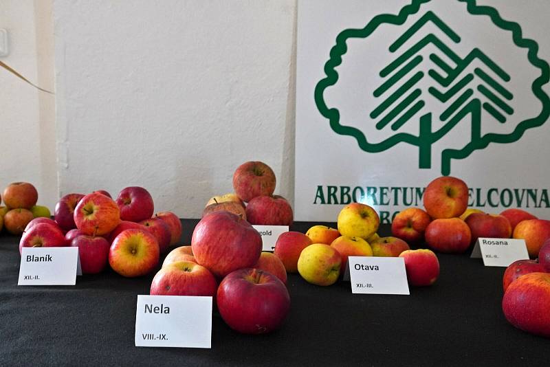 Arborertum Šmelcovna uspořádalo další ročník regionální výstavu ovoce a dřevin.