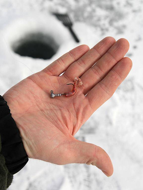 Teploty pod bodem mrazu uvítali na Blanensku kromě provozovatelů sjezdovek a lyžařů také rybáři. Když mrzne až praští, můžou totiž vyzkoušet rybolov přímo na ledu, který je velmi populární v severských zemích a Rusku. Lov na dírkách. 