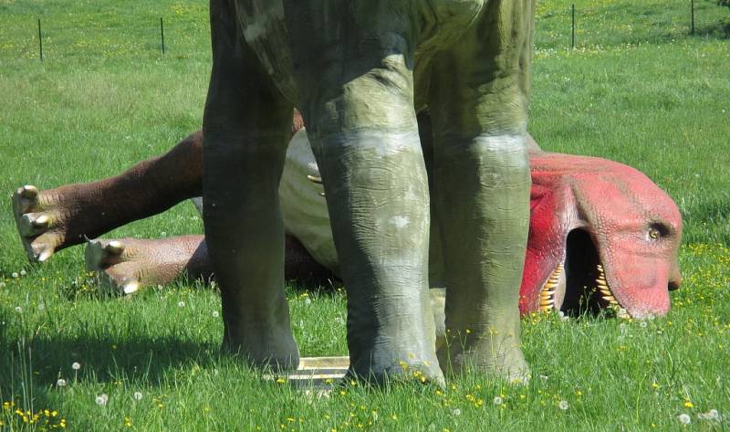 Dinosauři, kteří byli v Boskovicích k vidění dva roky, brzy zmizí. 