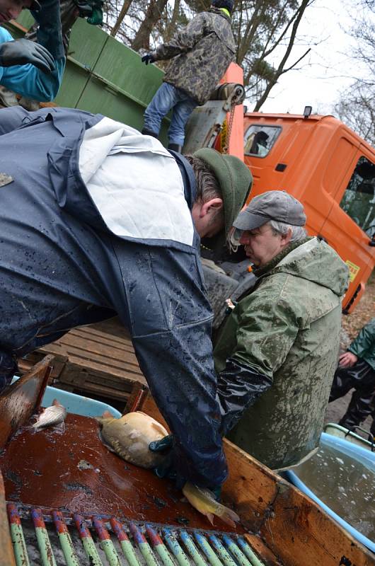 Rybáři v sobotu v Jedovnicích přemísťovali ryby. Z Budkovanu do Olšovce.