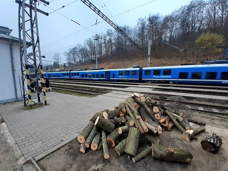 Kolem trati kácí stromy. Kvůli rekonstrukci koridoru.