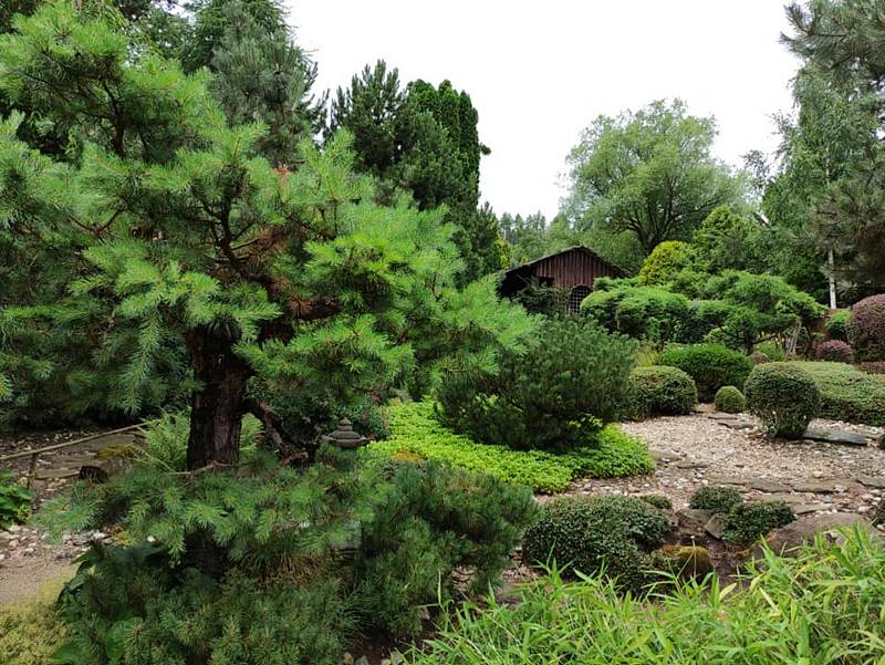 Při výletech po Boskovicku turisté rádi navštěvují i Borotín, kde se nachází vyhlášené arboretum.