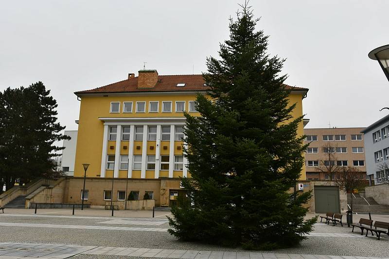 Advent je za dveřmi. Těžká technika už dovezla na blanenské náměstí Republiky tradiční vánoční strom. Letos je to třináctimetrová jedle bělokorá, kterou lesníci pokáceli poblíž Rudice.