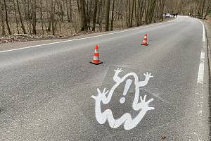 Na jarní tah obojživelníků upozorňují v Josefovském údolí motoristy také nasprejované symboly na vozovce.