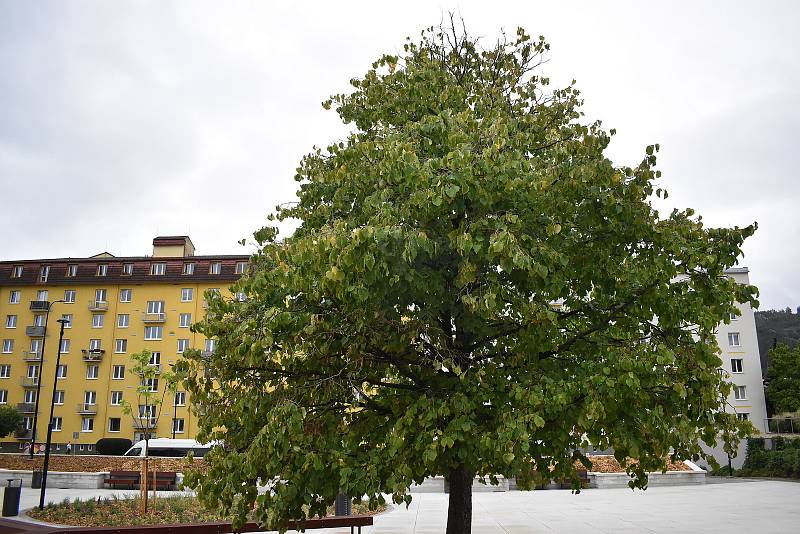 Rozbitý asfalt nahradila dlažba, záhony a lavičky. Na upraveném náměstí Republiky v Blansku se nyní i lépe parkuje. Město Blansko stály úpravy 13 milionů korun.