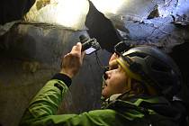 Ochránci přírody začali společně s dobrovolníky sčítat zimující netopýry v jeskyních Moravského krasu na Blanensku a Brněnsku. Zaměřili se na nepřístupné jeskyně v krasovém kaňonu Suchý žleb.