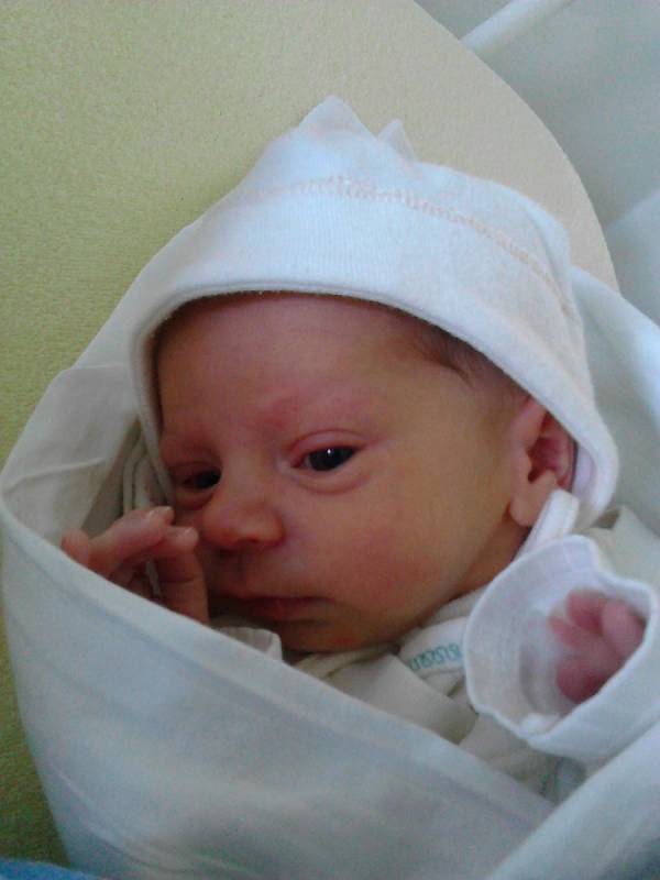 Jaroslav Doležal, 48 cm, 2,66 kg, 26. 4. 2016, Bystřice nad Pernštejnem.