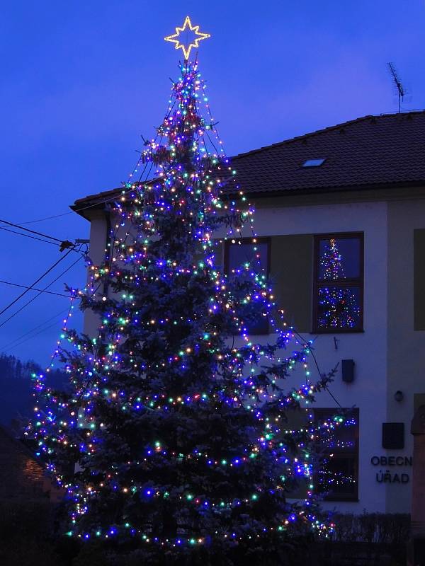 Před obecním úřadem už svítí vánoční strom. Foto: Alena Vaňková