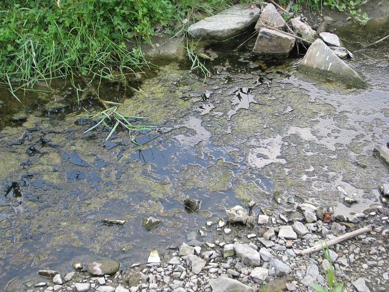 Někteří obyvatelé Křtin se domnívají, že se ve Křtinském potoce pod kostelem nacházejí splašky.