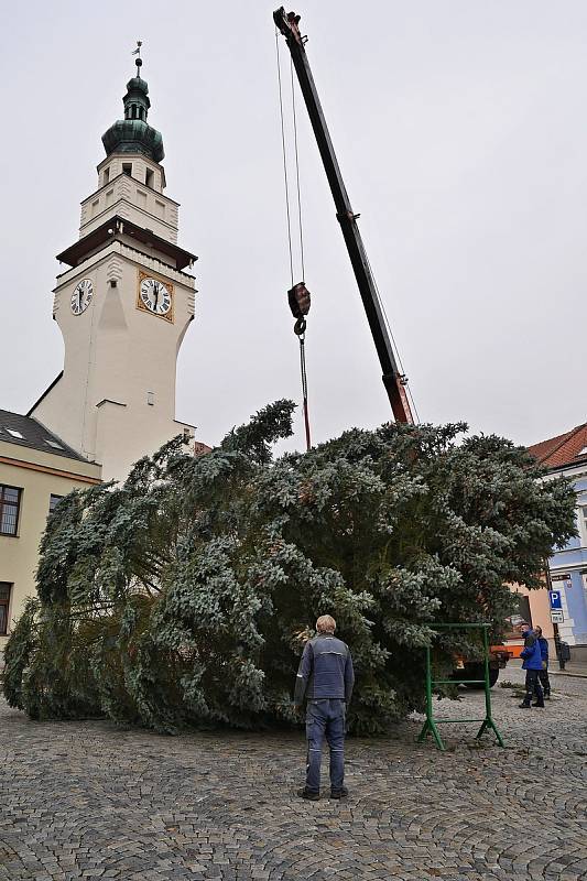 V pondělí přivezla těžká technika vánoční strom na Masarykovo náměstí do Boskovic. Městu ho daroval chalupář z Knínic.