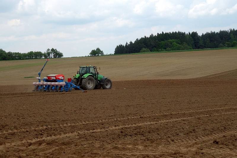 Problém narůstá, zemědělci se stále více potýkají s nedostatkem pracovníků. Chybí v živočišné výrobě i na polích. Se souhlasem Stanislava Michala / ZDV Nýrov