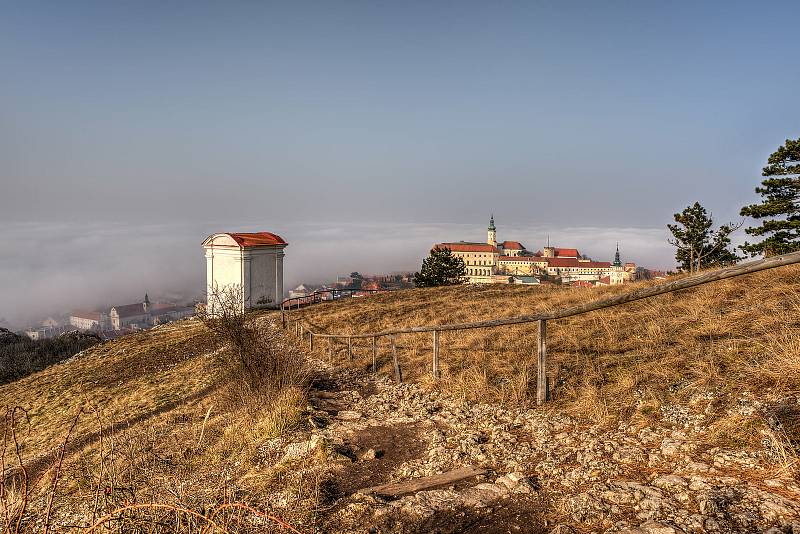 Dominantou města Mikulov je zámek. Při dobrém počasí je na něj krásný výhled ze Svatého kopečku.