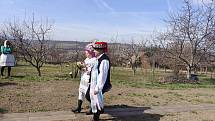 Netradiční svatba v Kobylí. Nevěsta a ženich se řekli své ano v muzeu