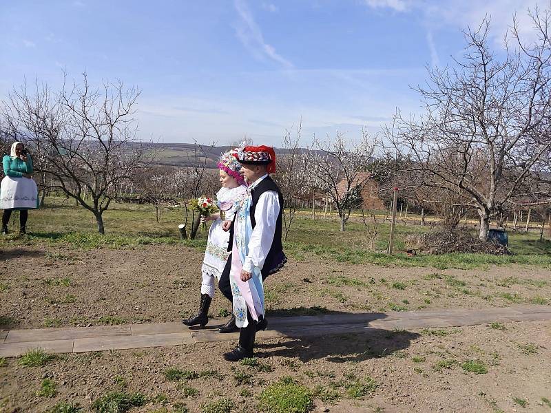 Netradiční svatba v Kobylí. Nevěsta a ženich se řekli své ano v muzeu