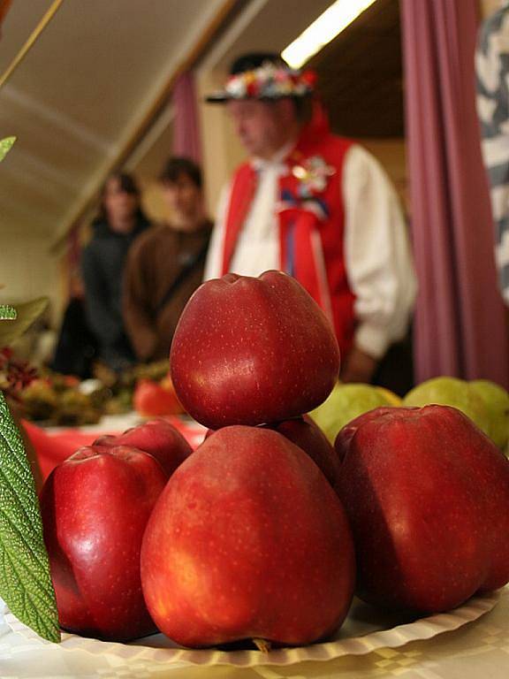 Výstava ovoce a zeleniny ve Velkých Němčicích.