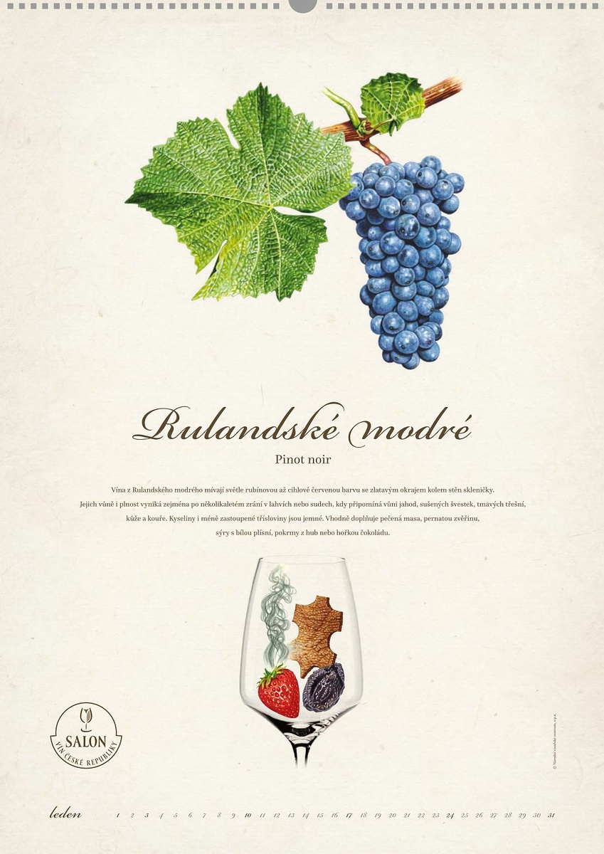 OBRAZEM: Vinařský kalendář přiblíží odrůdy vinné révy. Poprvé také s vůni  vín - Břeclavský deník