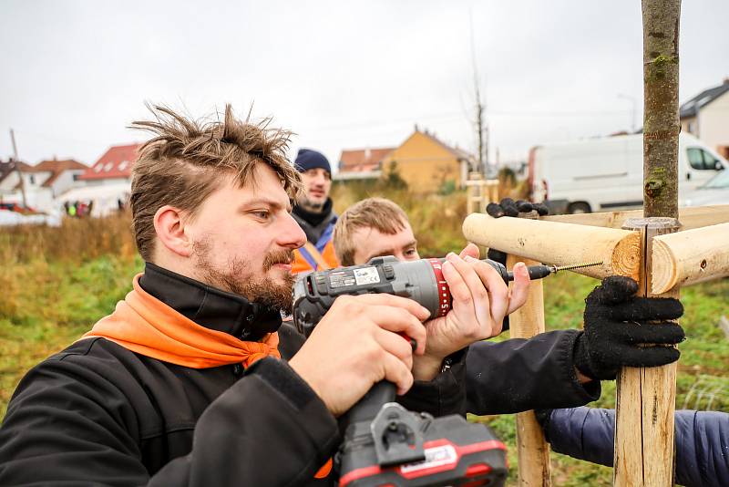 Výsadba stromů v obcích zasažených tornádem.