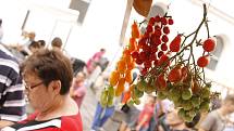 Na břeclavské Slavnosti rajčat přišly přibližně tři tisíce lidí.