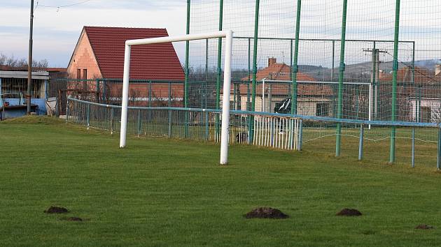 Na fotbalovém hřišti v Bavorech řádí krtek.