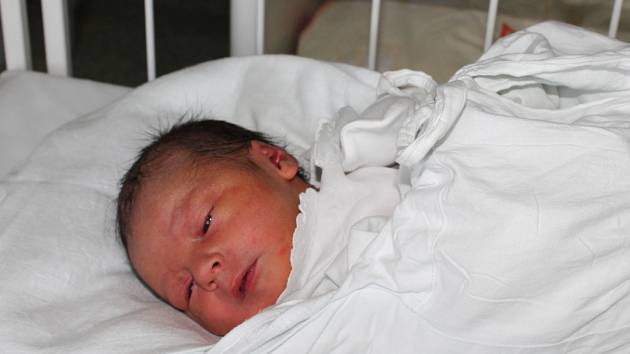 Teodor Machovský, 11.9.2013, Břeclav, 48 cm, 2,53 kg